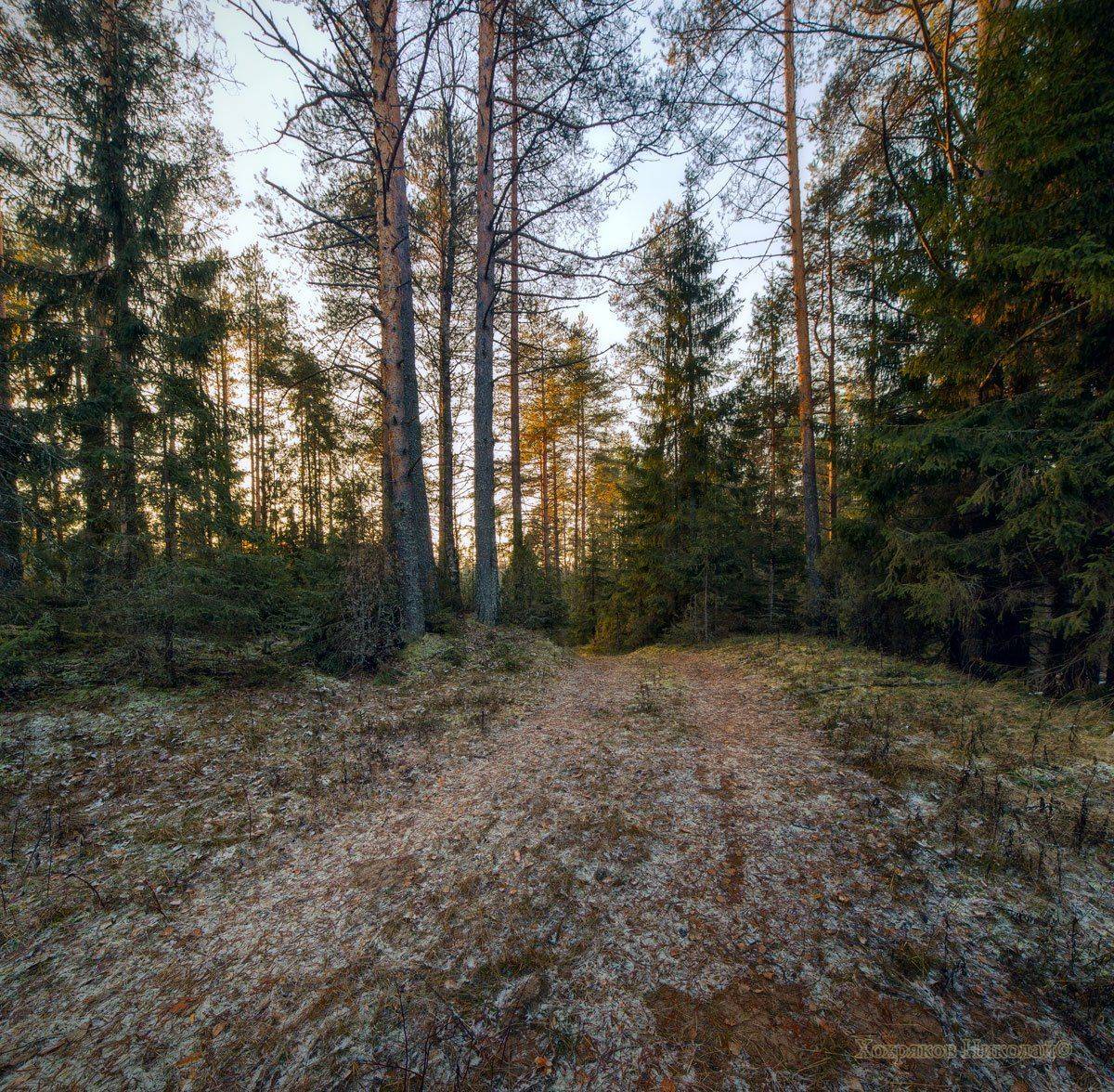 , Хохряков Николай