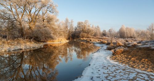 Седое утро декабря