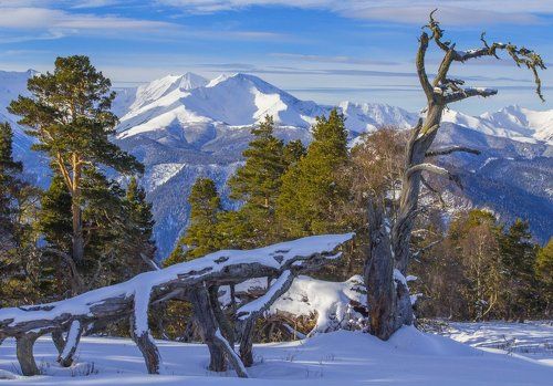 Зима в Кавказском заповеднике