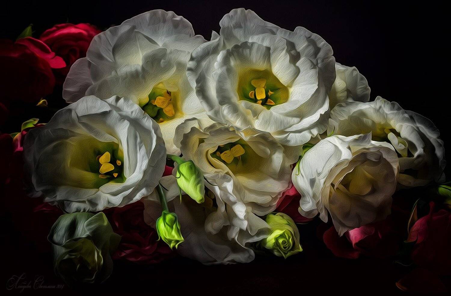 , Светлана Л.