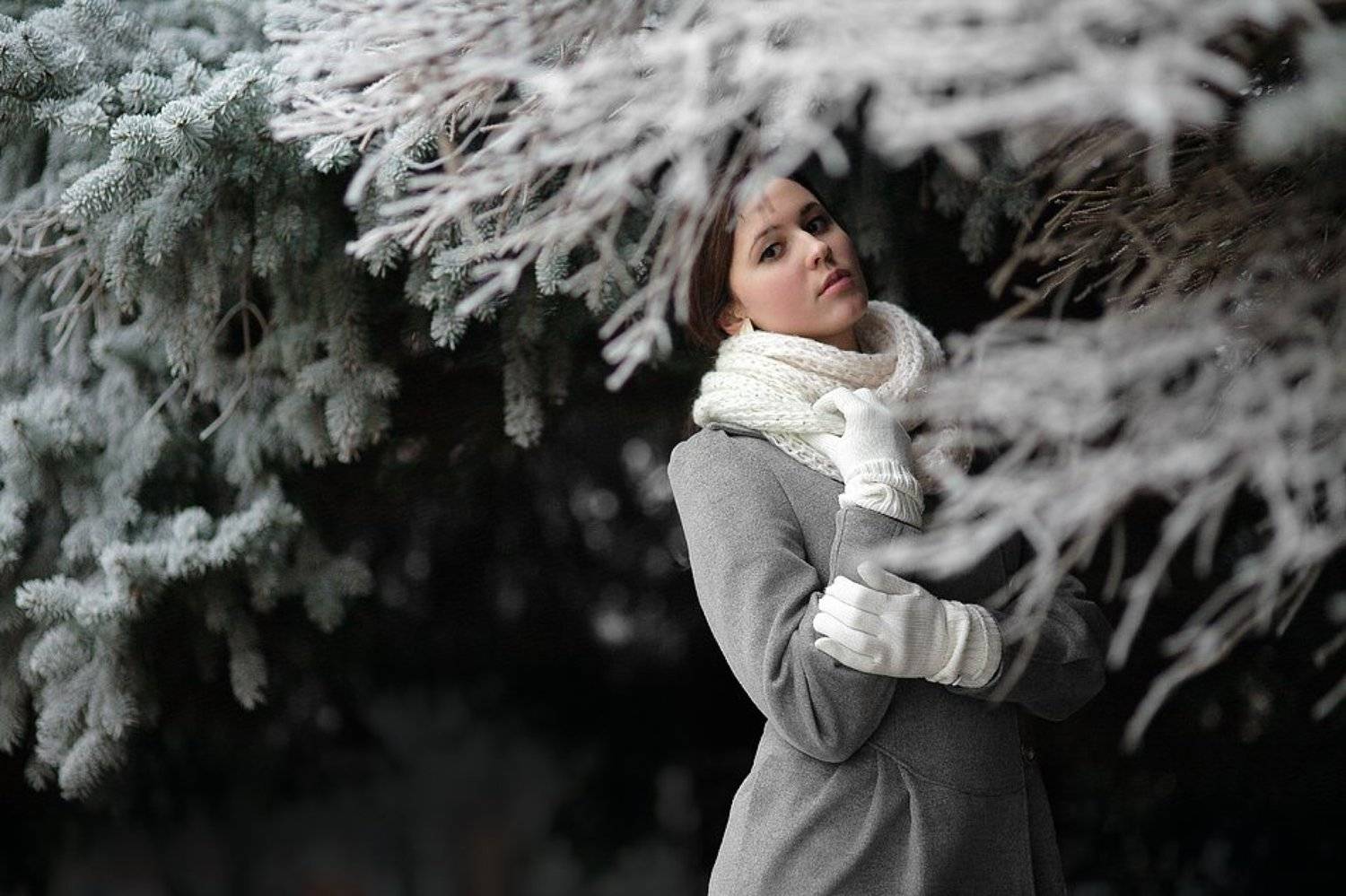 , Дмитрий Смирнов