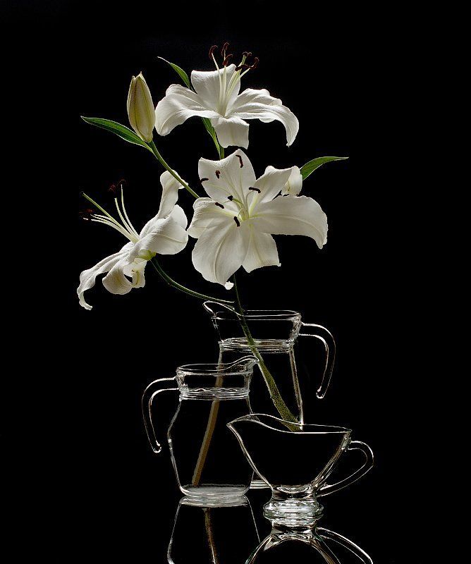 Чёрное и белое фото превью