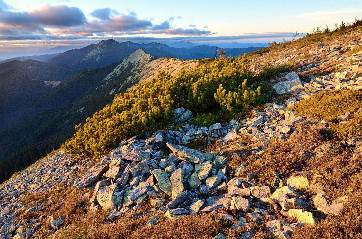 Bush, Karpaty, Landscape, Mountains, Stones, Sunset, Горы, Закат, Камни, Капрати, Кусты, Пейзаж, Я