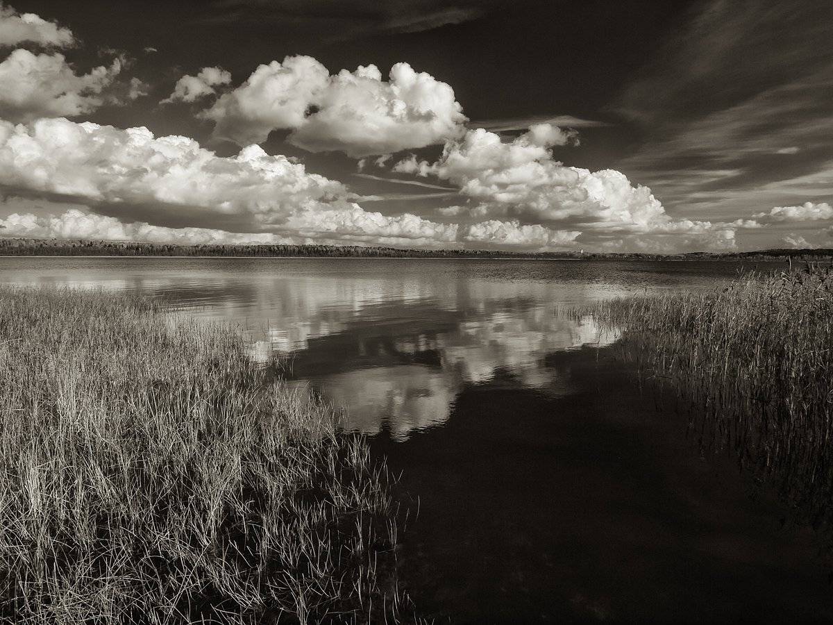 , Владимир Перепечаев