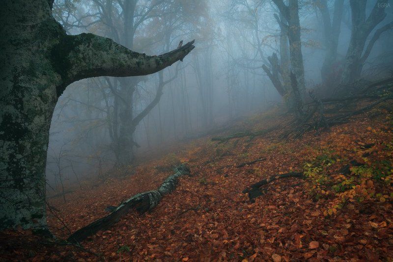crimea, fog, mist, крым, туман водный мир Демирджи фото превью