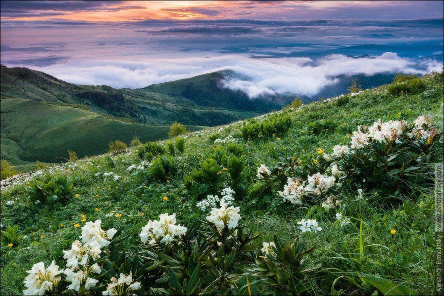 Caucasus, Thachi, Кавказ, Тхачи, Александр Ермолицкий