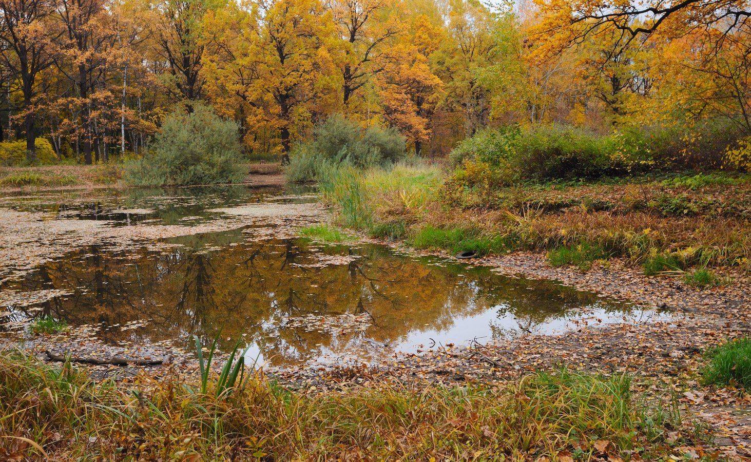 , Сергей Седов