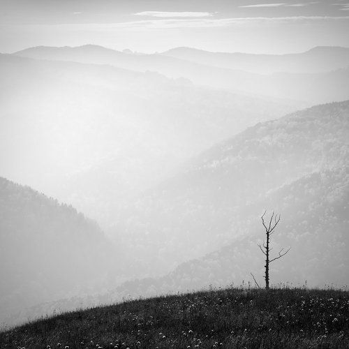 Без назавния