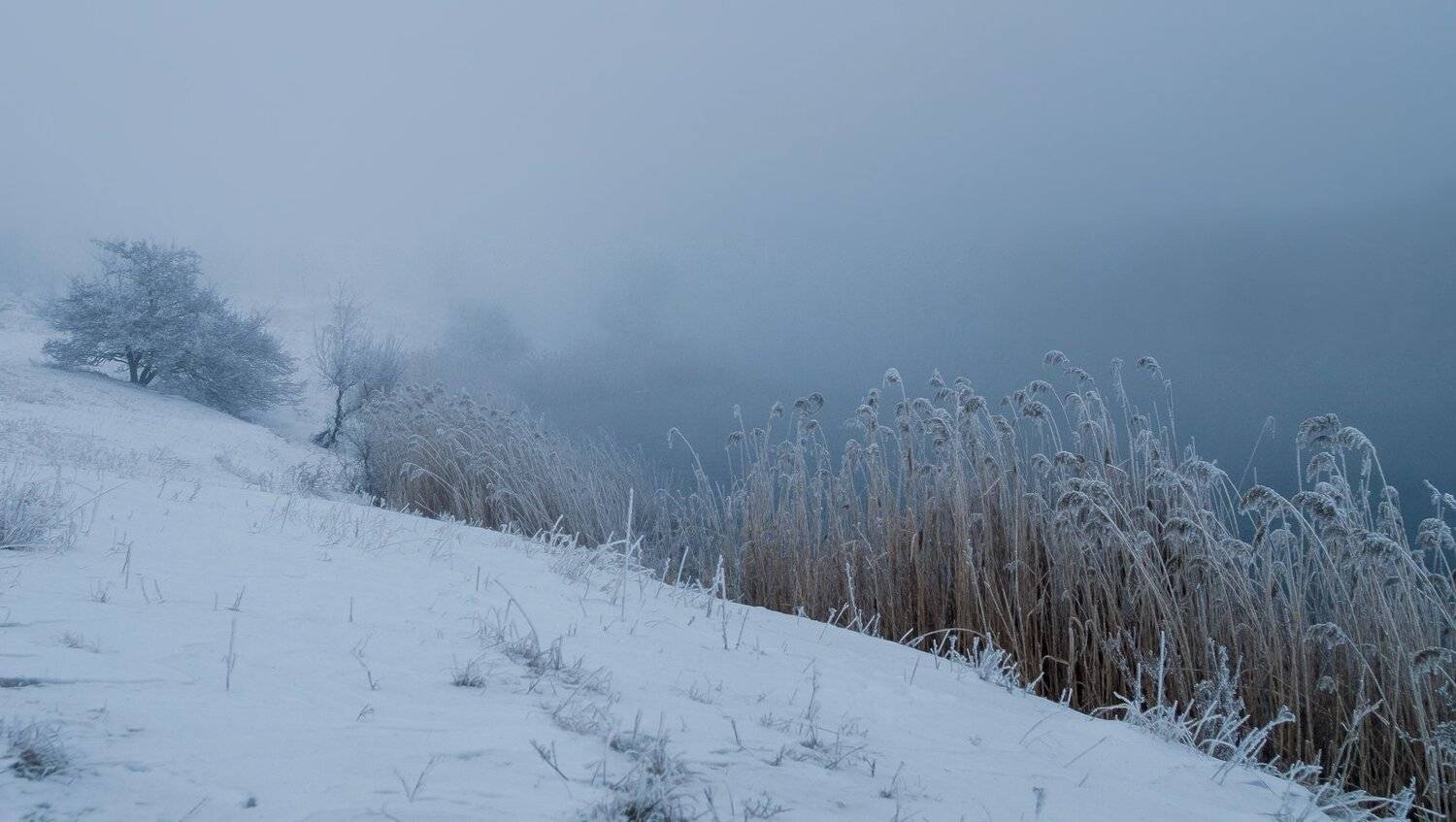 , Игорь Мелекесцев