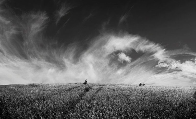 chasing...... фото превью