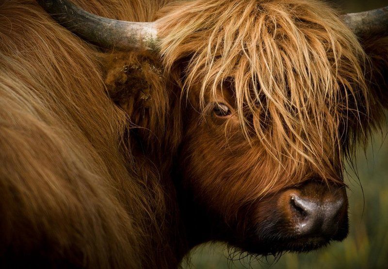 Bad Hair Day фото превью