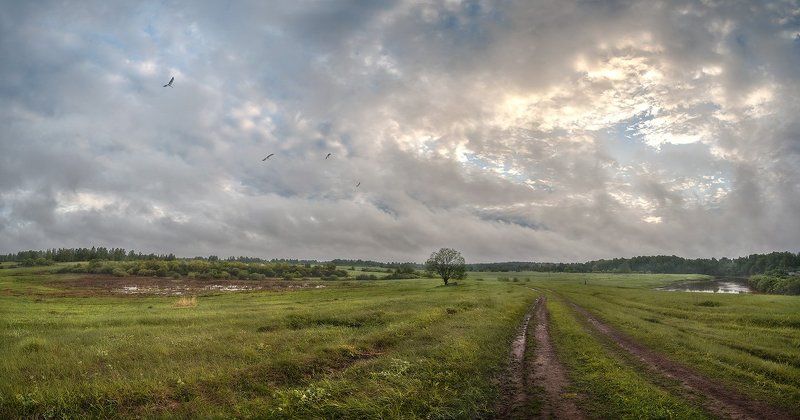 псковская область, пушкинские горы К ясному дню фото превью