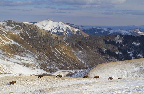 Великолепная семерка