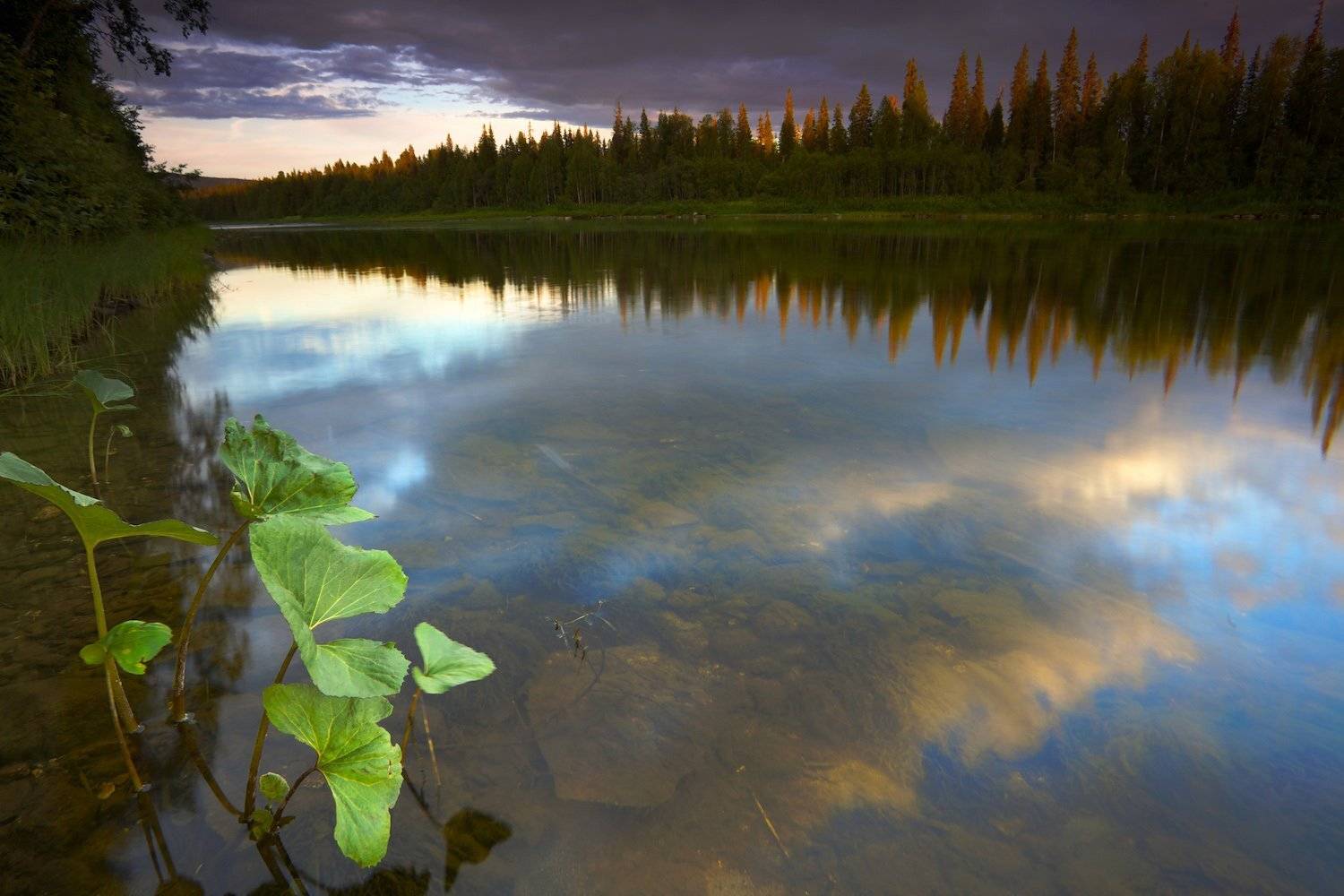 , Никифоров Егор