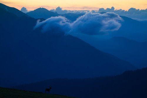 Олень под облаками