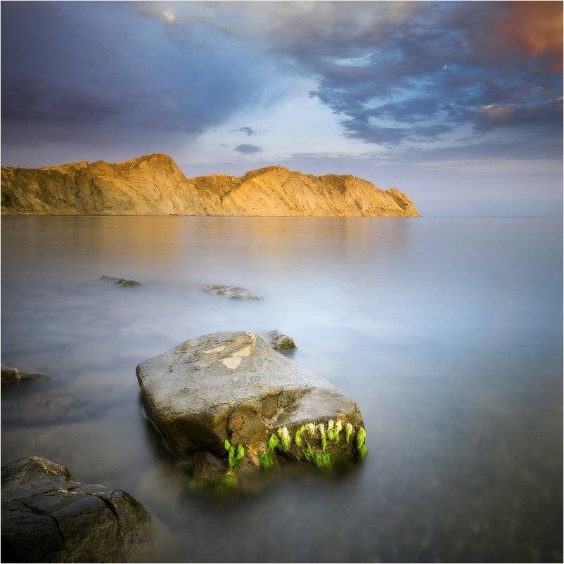 , Михаил Гапонов