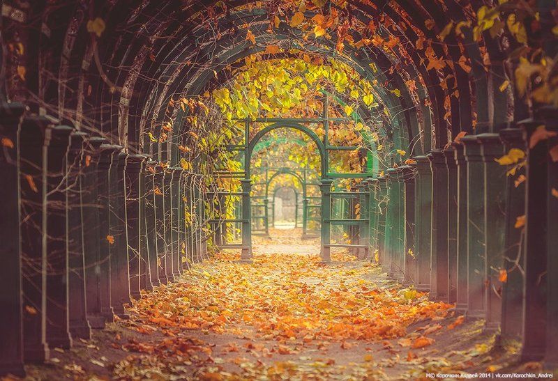 Тоннели Петергофа... фото превью