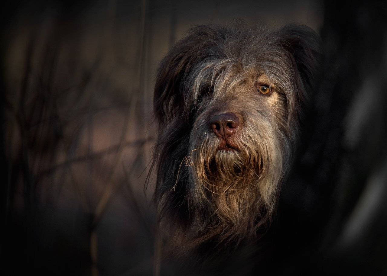 , Валерий Субачев