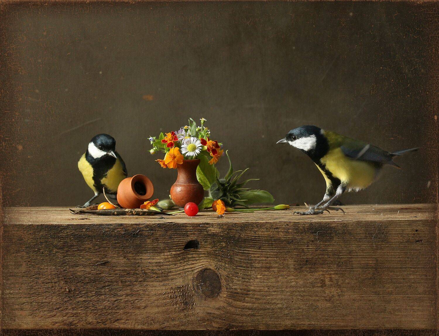 parus major, Хромушин Олег