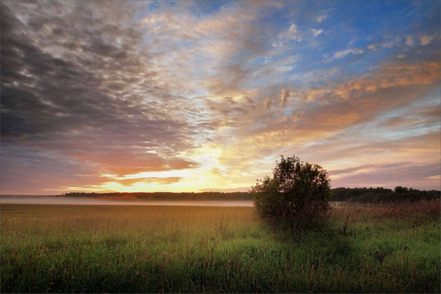 пейзаж, вечер, лето, закат, поле, туман, небо, облака, свет, цвет, александр никитинский, Никитинский Александр