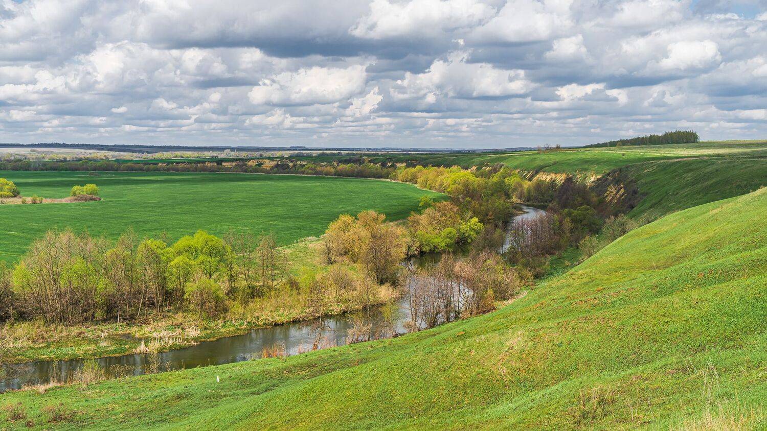 река кшень. апрель, весна,, Николай Бологов