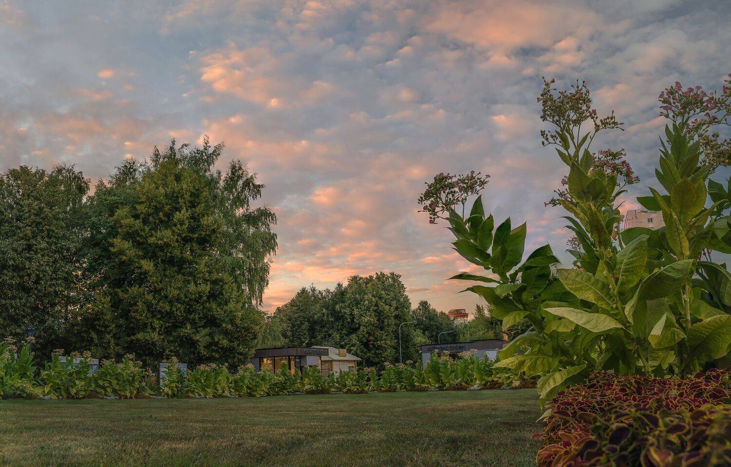 коломенское., Вячеслав Бирюков