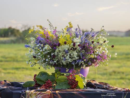 Пленэр с букетом на лугу и берегу реки
