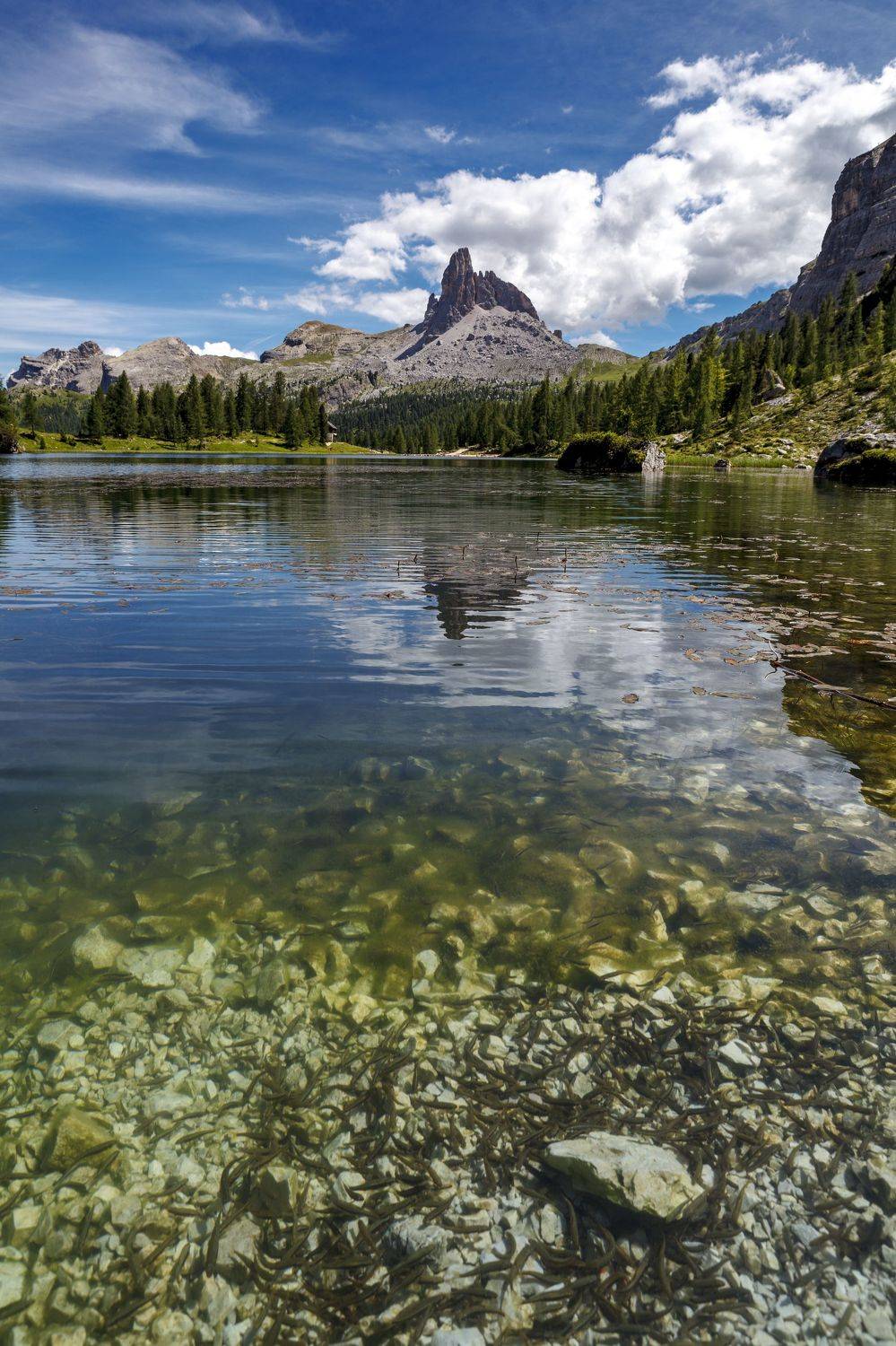 Italy, dolomiti, landscape, fish, , Igor Sokolovsky
