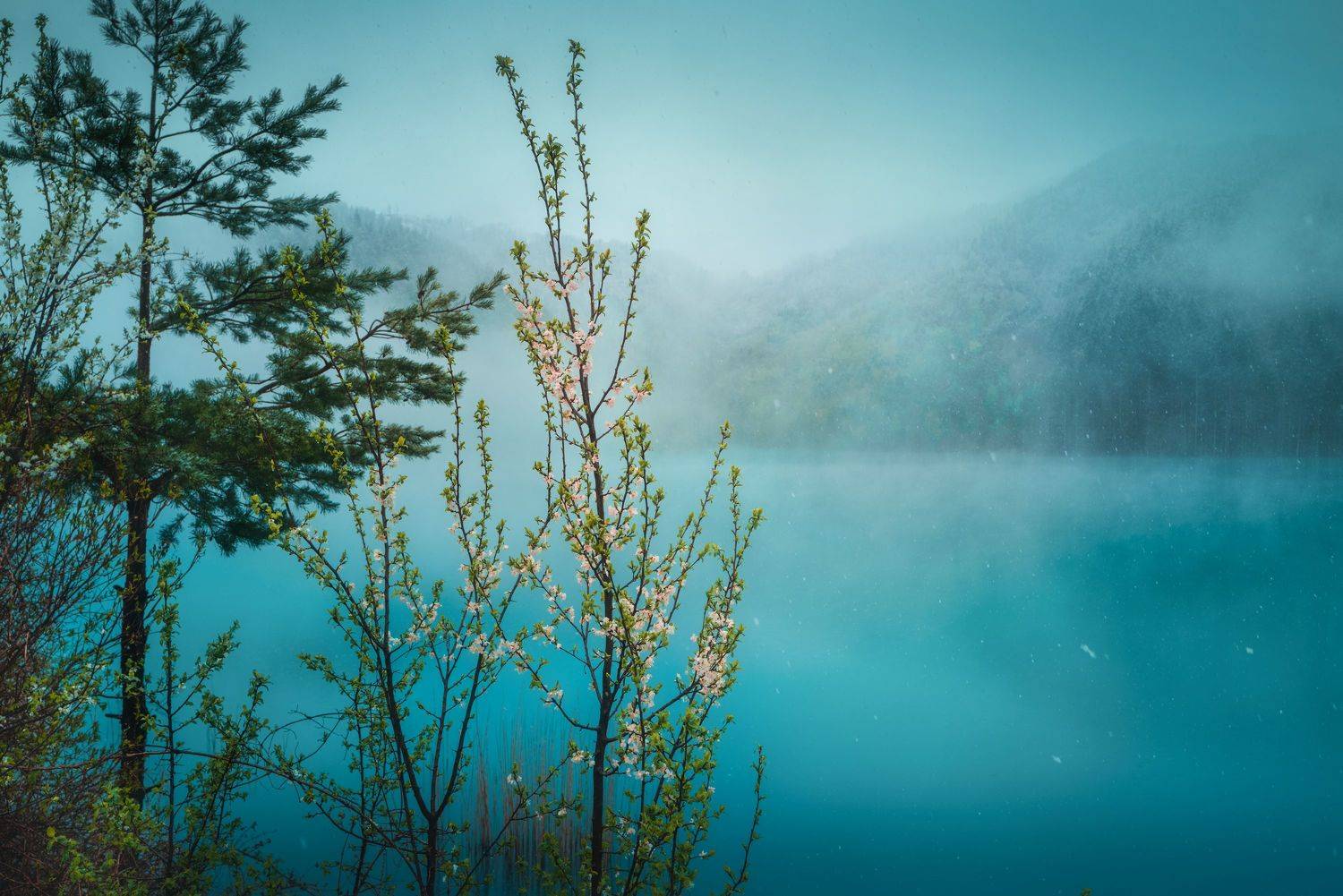 , Karamazov Vladimir