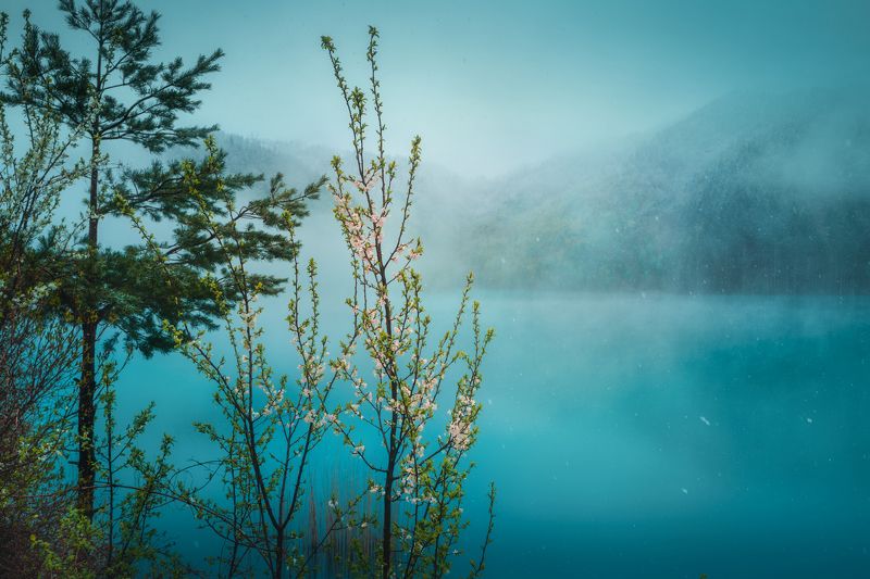 Winter in spring фото превью