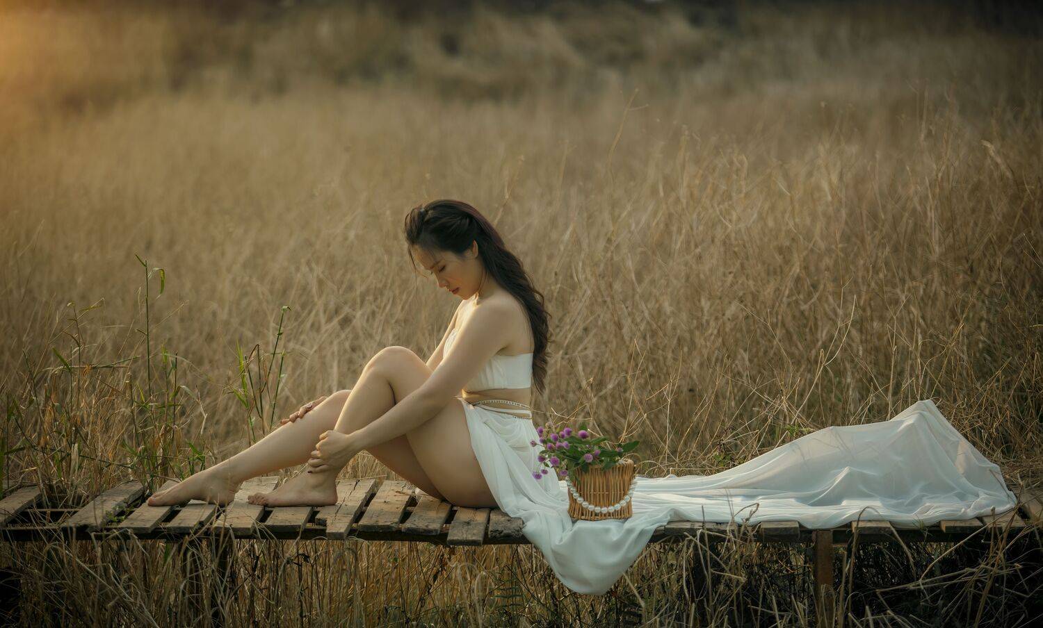 , Nguyễn Ho&agrave;ng Long