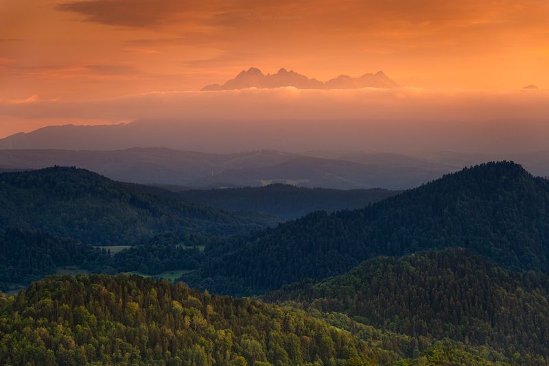 pieniny, tatry, tatras, carpathians, sunset, mountains, clouds, forest, trees, landscape, mountainscape, nikon, tamron, Broken Connection фото превью