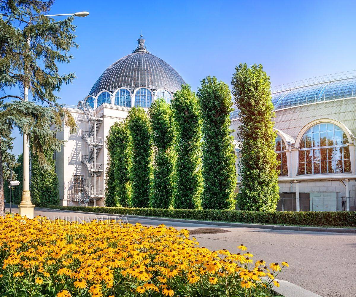 москва, вднх, космос, купол, Юлия Батурина