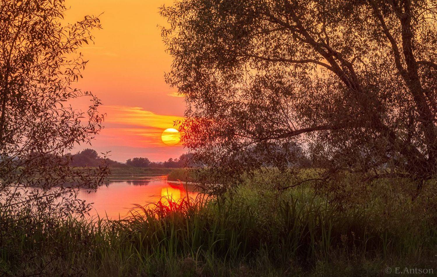 пейзаж, природа, кострома, антсон элвис, закат, elvis antson, Antson Elvis