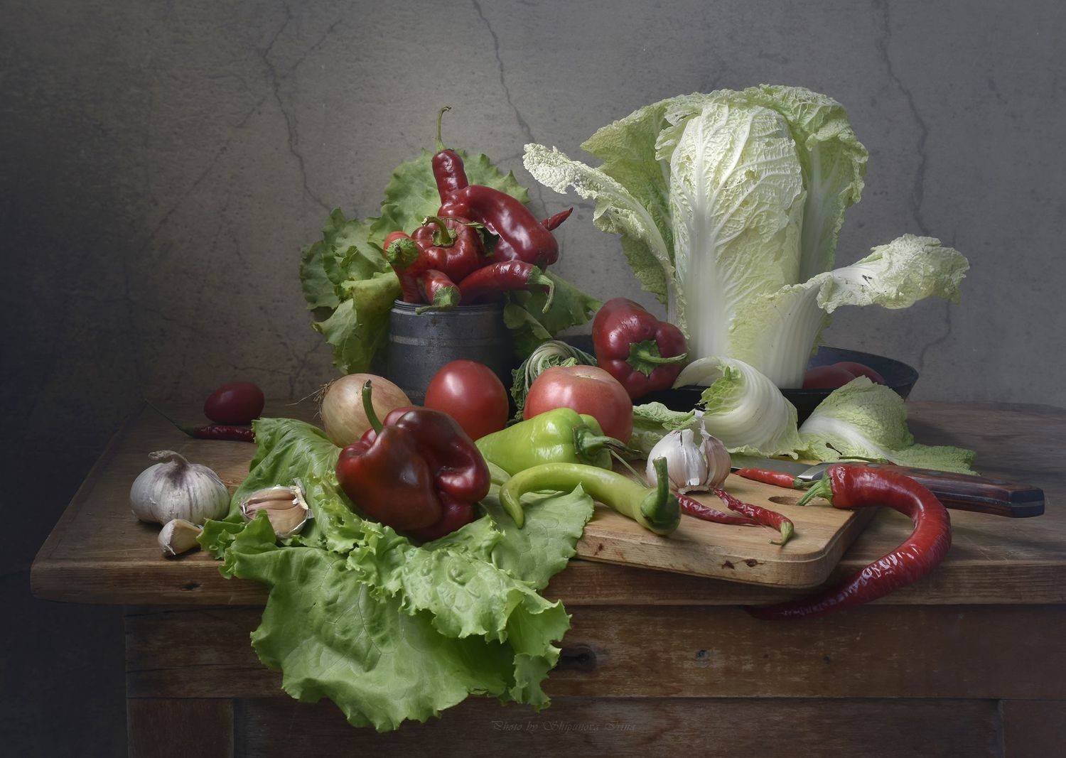 , Шипунова Ирина