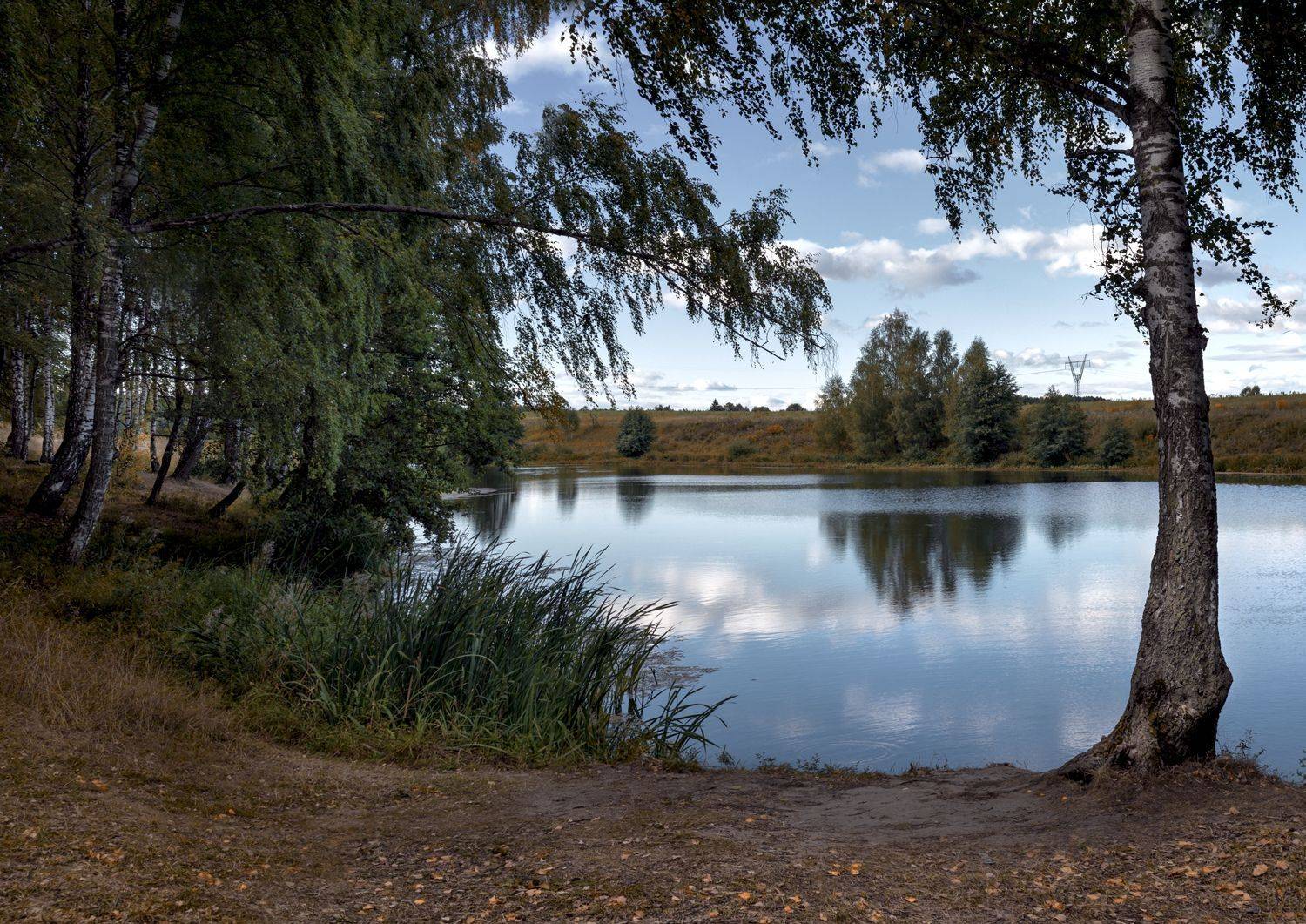 , Баранов Олег