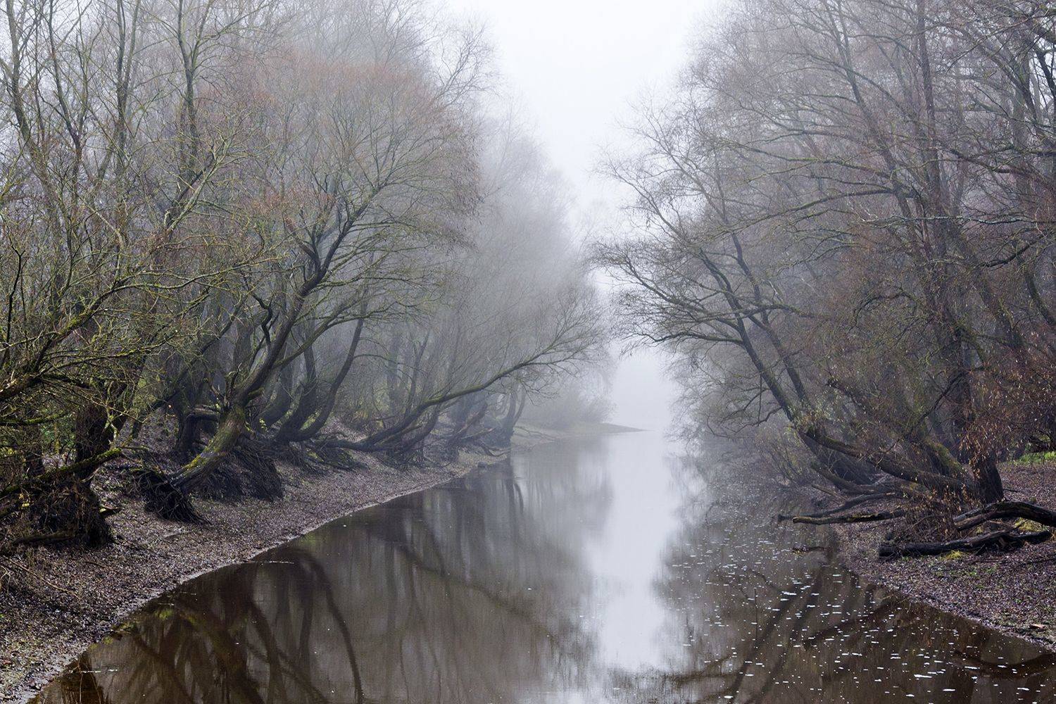 , Волоцков Александр
