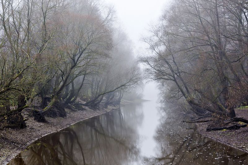 осень фото превью