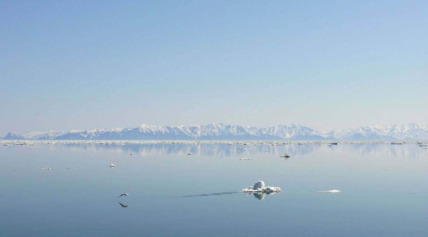 охотское море, штиль, весна, скалы, берег, лёд, Евгений Паршуков