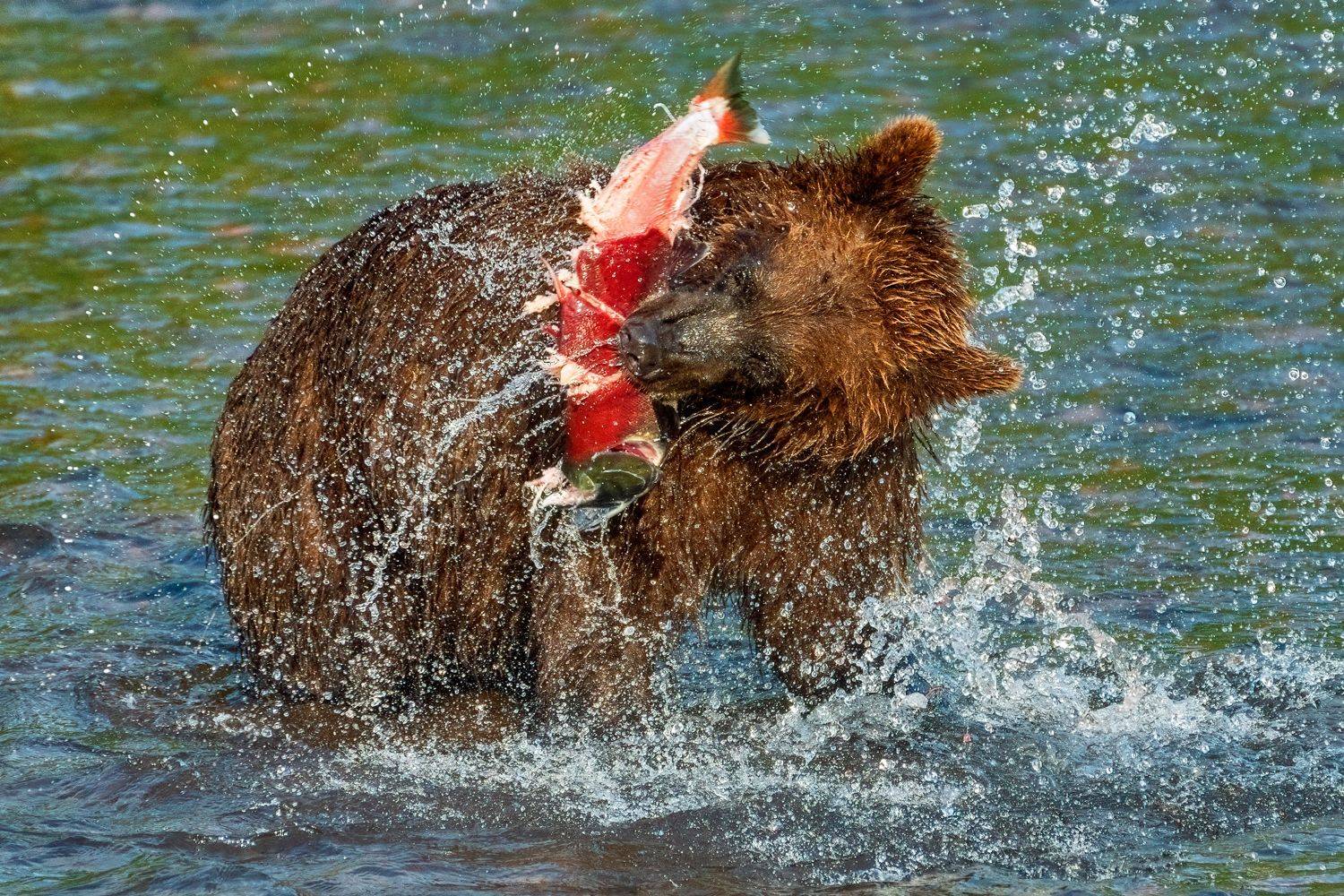 , Юрий Гордонов
