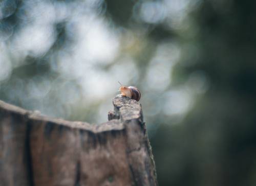 После летнего ливня.