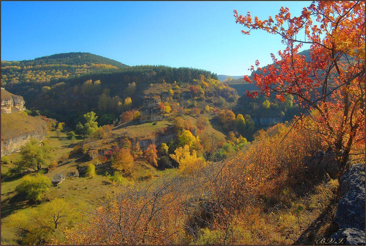 , Vlad`a