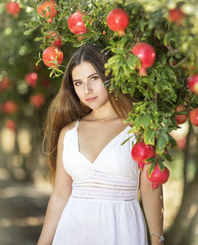 в гранатовом саду фото превью