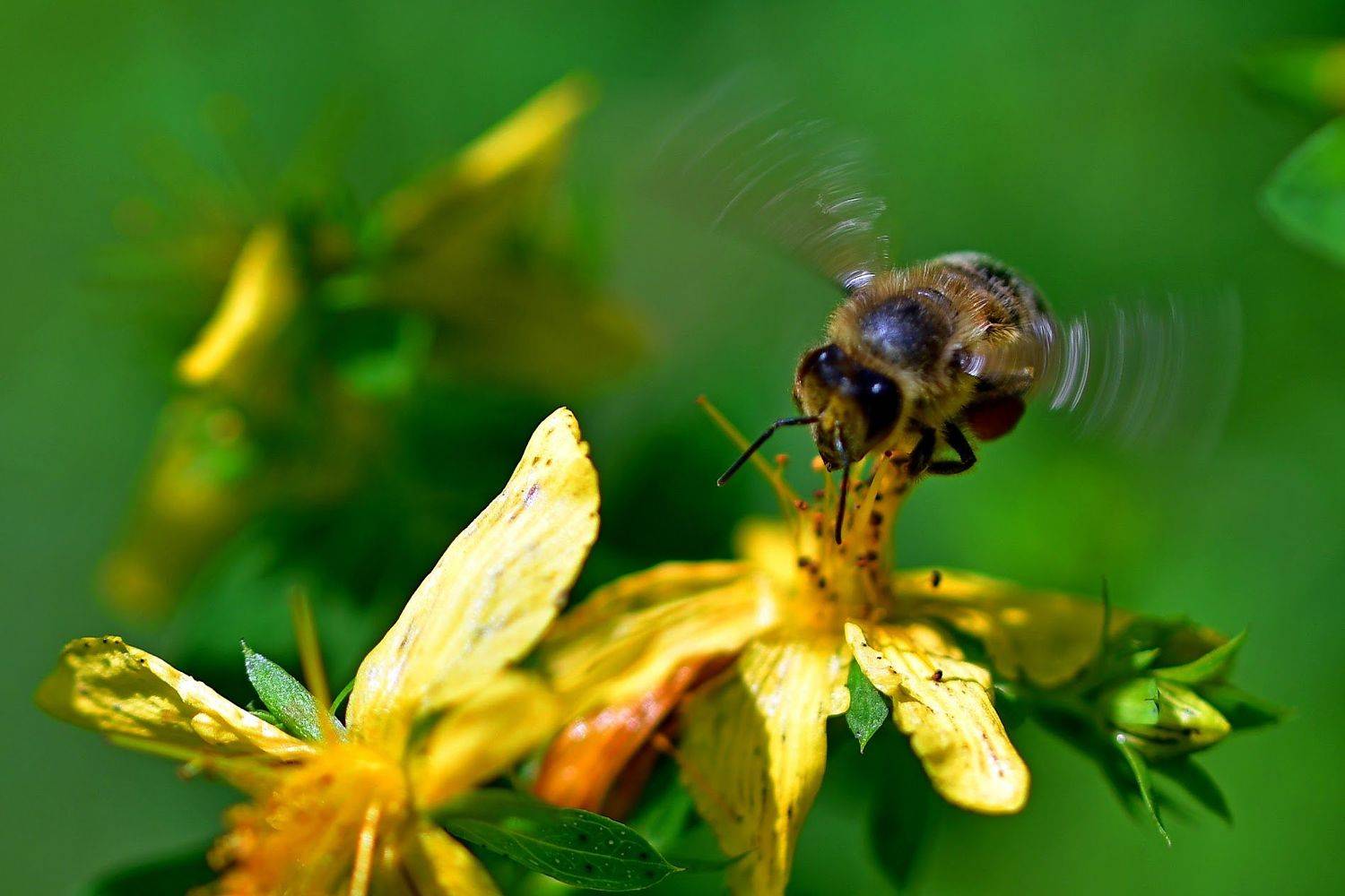, Корнейчук Игорь