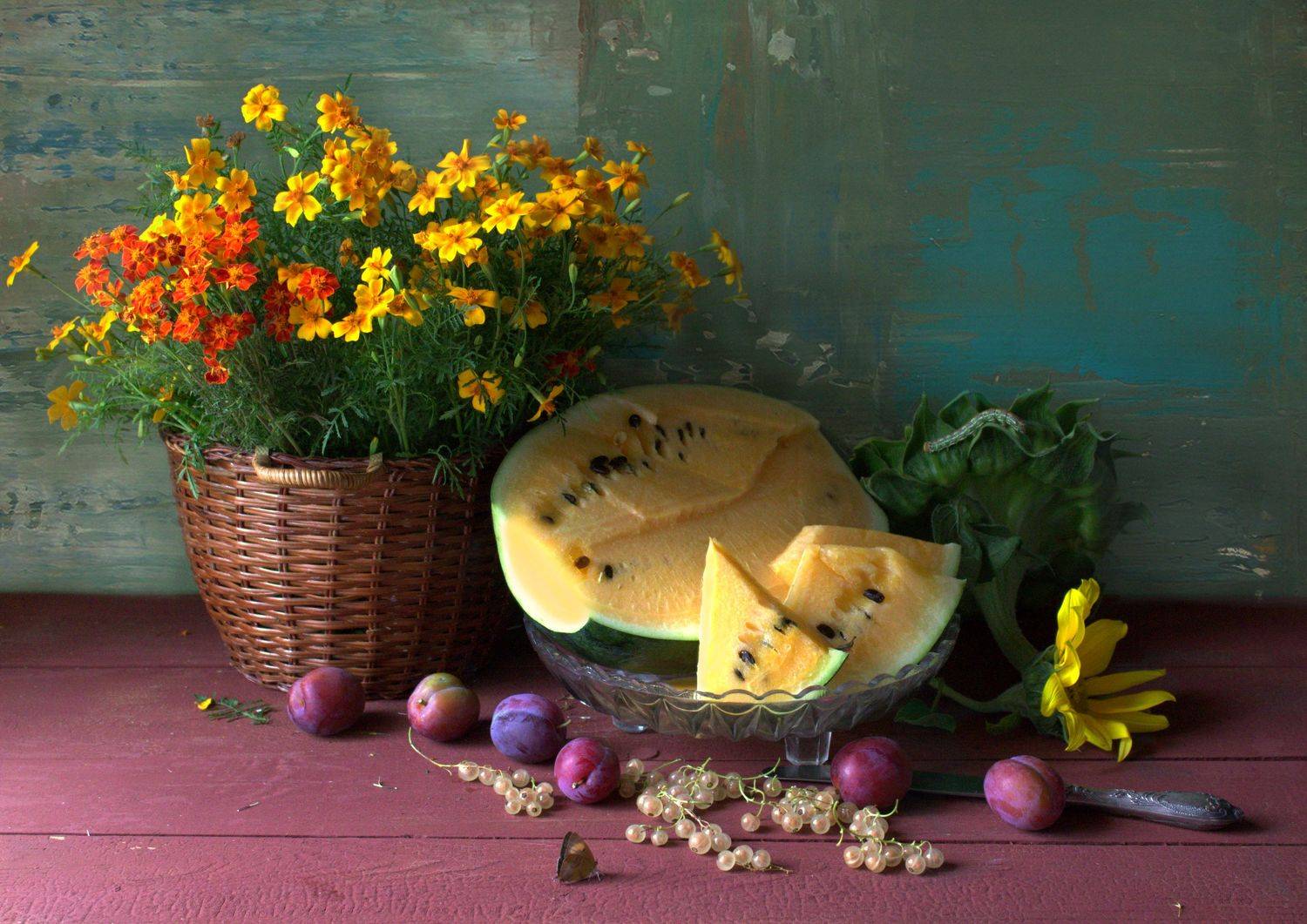 цветы, арбуз, бабочка, гусеница, Наталья Хохлова