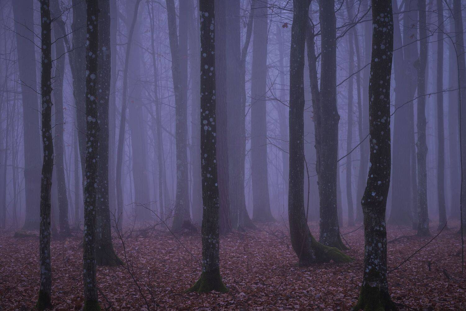 , Захаров Дмитрий