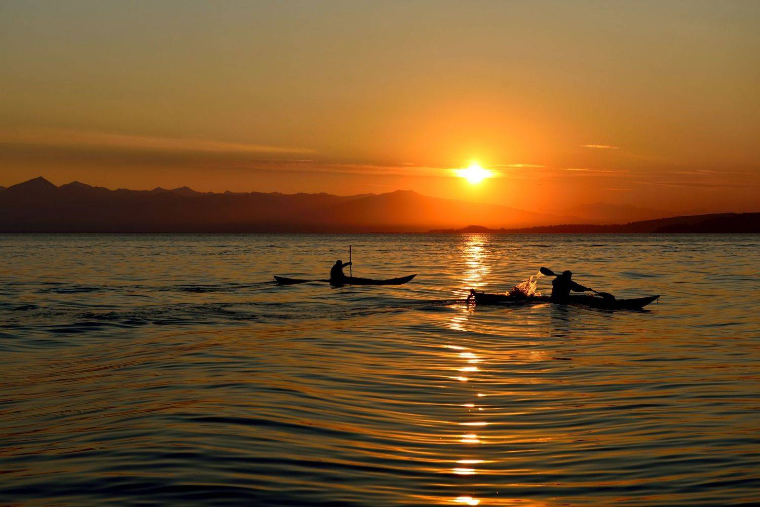 , Александр Мухин