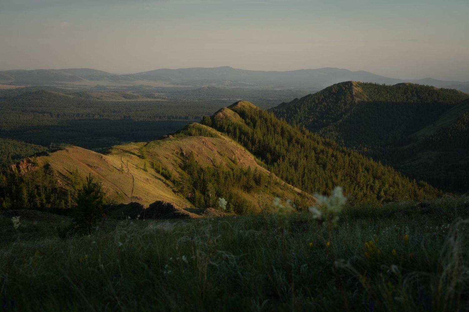 , Овчинникова Наталья