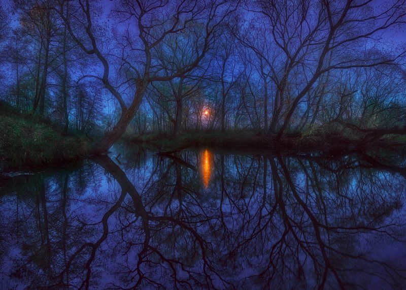 Moon... фото превью