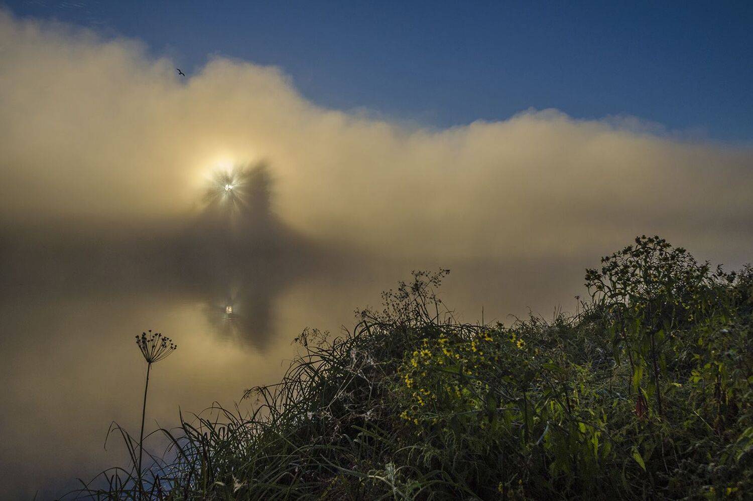 утро, рассвет, восход, туман, архангельское, Михаил Агеев
